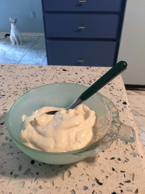 picture of tofogurt